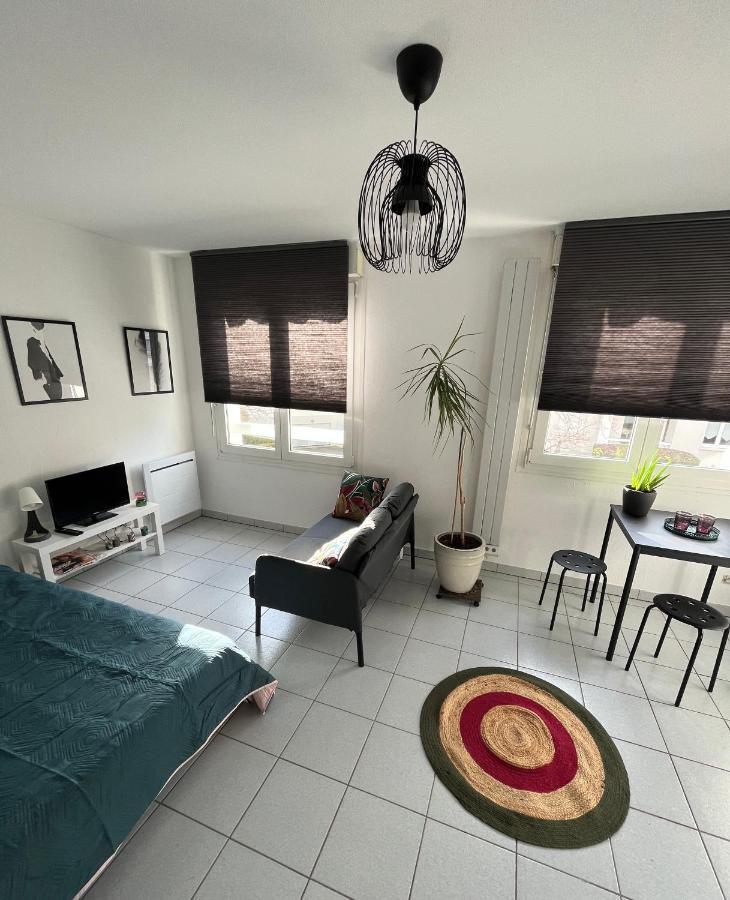 Zen-Itude Apartment Strasbourg Luaran gambar